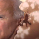 An Attack On Titan character flying toward Joe Biden's enormous head, swords at the ready.